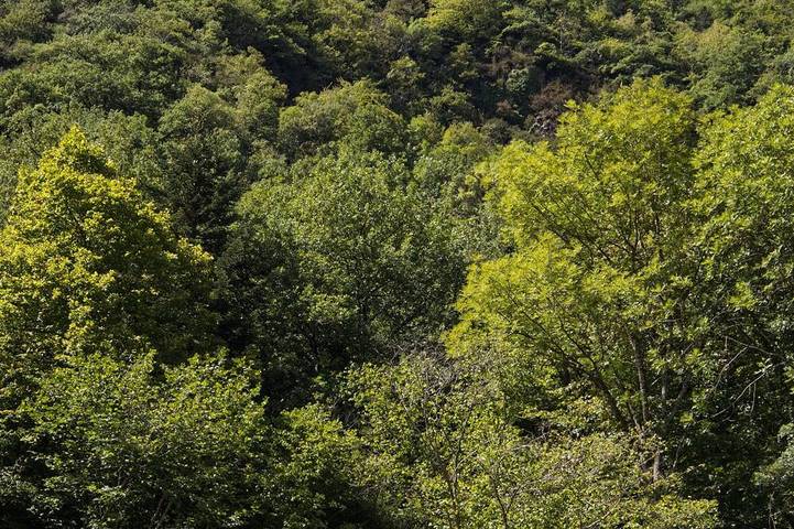 Maison de vacances pour 12 personnes, avec jardin et balcon