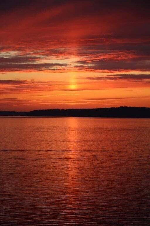 Ganze Wohnung, Water View Sunset Studio, freier Blick auf das Wasser, unvergessliche Sonnenuntergänge in Des Moines WA, King County