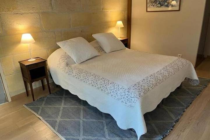Location de vacances pour 9 personnes, avec jardin et terrasse à Loupiac - 4