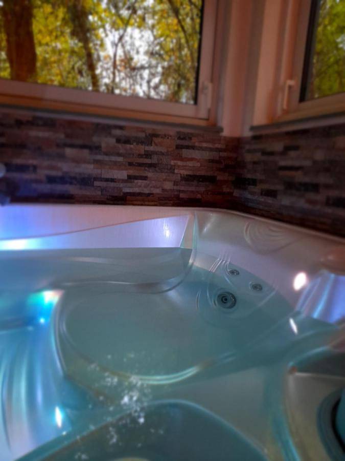 Gîte pour 2 personnes, avec terrasse ainsi que jardin et vue, animaux acceptés à Roquetoire - 4