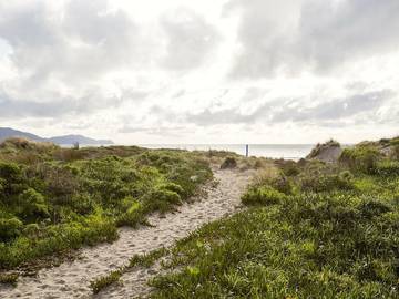 Holiday Home for 4 People in Wellington, New Zealand, Photo 1