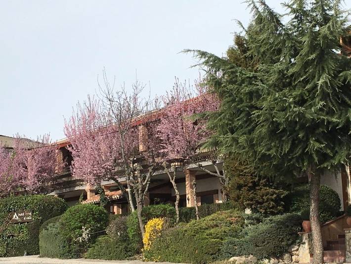 Hotel para 3 personas, con terraza y jardín en Sierra Norte - 3