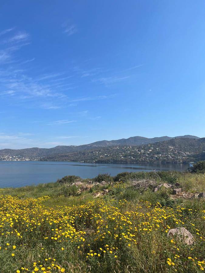 Appartement entier, Perdika's Nest, family friendly house by the sea in Perdika, Égine