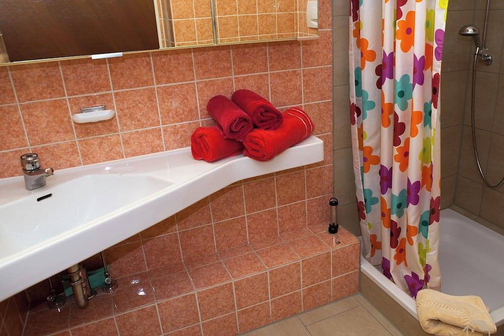 Ganze Wohnung, Ferienwohnung, 40qm, 1 Wohn- / Schlafzimmer, max. 2 Personen in Reichenau, Untersee