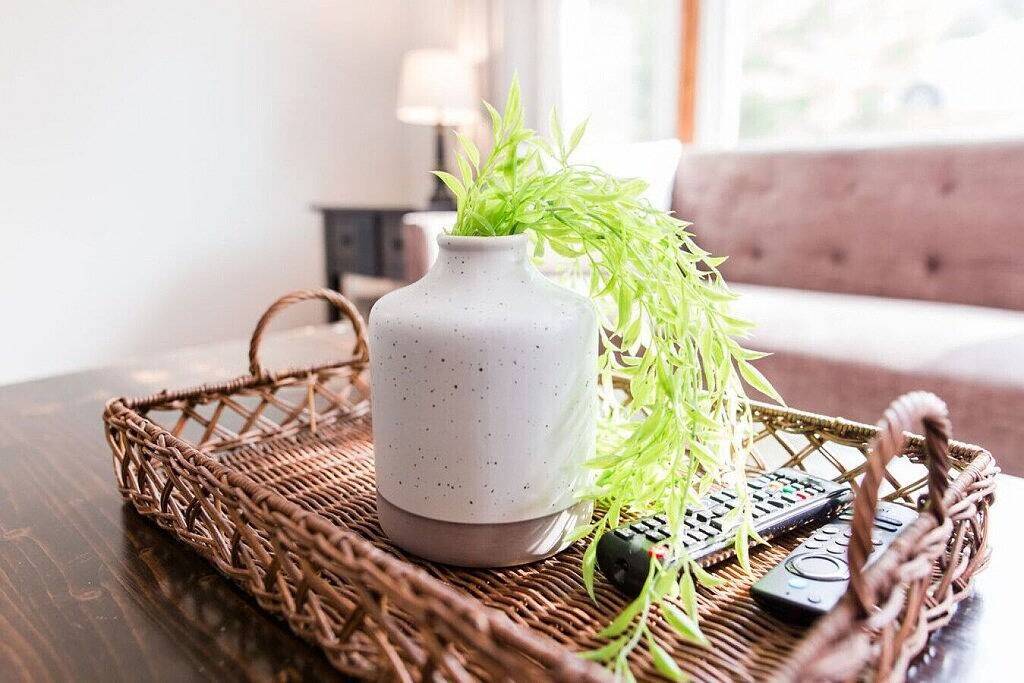 Charming Single Level Home • Convenient 3 Bedroom in Lynchburg, Virginia