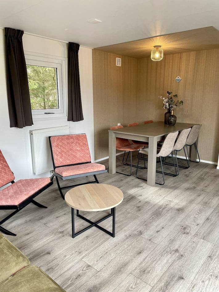 Location de vacances pour 4 personnes dans Nijverdal - 2