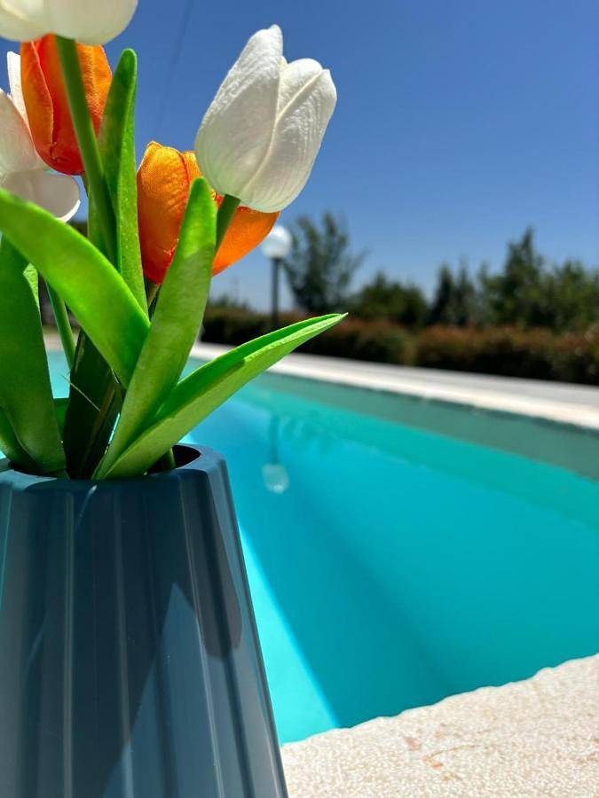 Appartamento vacanze per 2 persone, con piscina e panorama nonché balcone e giardino - 1