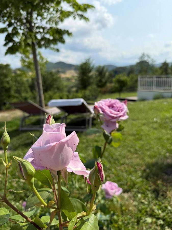 Appartamento per 4 persone, con panorama e giardino, con animali domestici in Pavullo nel Frignano