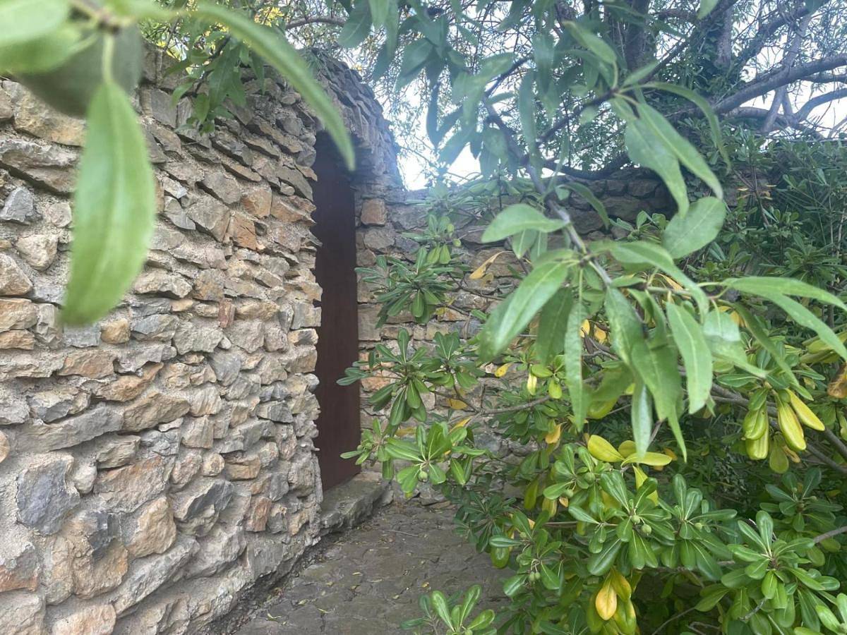 Double Room with Garden View in Gruissan (Ville), Gruissan