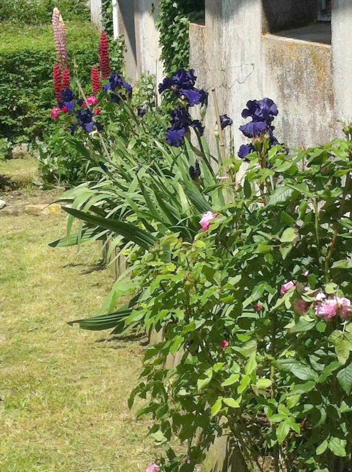 Location de vacances pour 2 personnes, avec jardin ainsi que vue et terrasse à L'Houmeau - 3