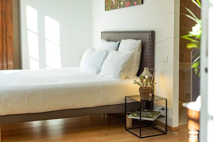 Gîte pour 18 personnes, avec sauna et jardin à Lagraulet-du-Gers - 4