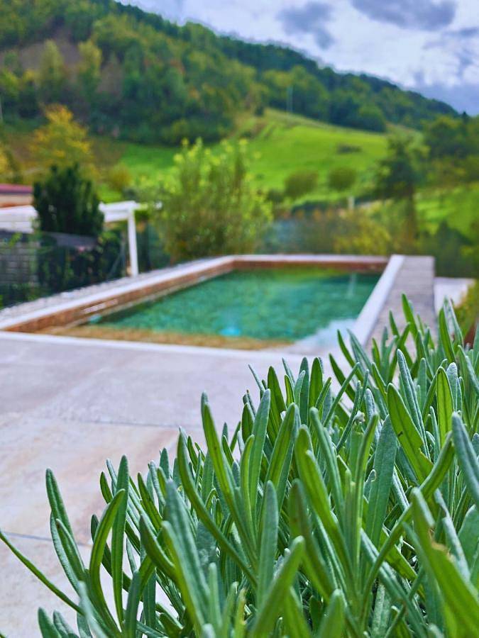 Ferienhaus für 25 Personen, mit Balkon und Whirlpool sowie Terrasse und Garten