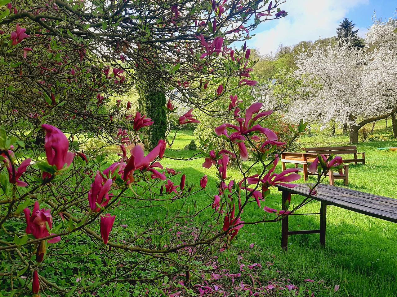 Die Malche Gäste und Tagungshaus 27 in Bad Freienwalde, Märkische Schweiz-Oderland