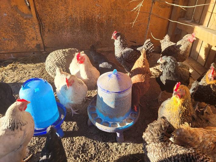 Bauernhof für 5 Personen, mit Garten und Terrasse in Neunburg vorm Wald - 2