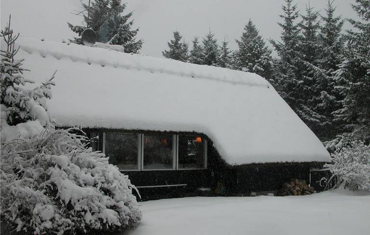 Ferienhaus für 4 Personen, mit Terrasse und Garten in Marielyst - 2