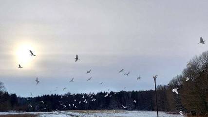 Ferienhaus für 4 Personen in Ducherow, Vorpommern, Bild 3