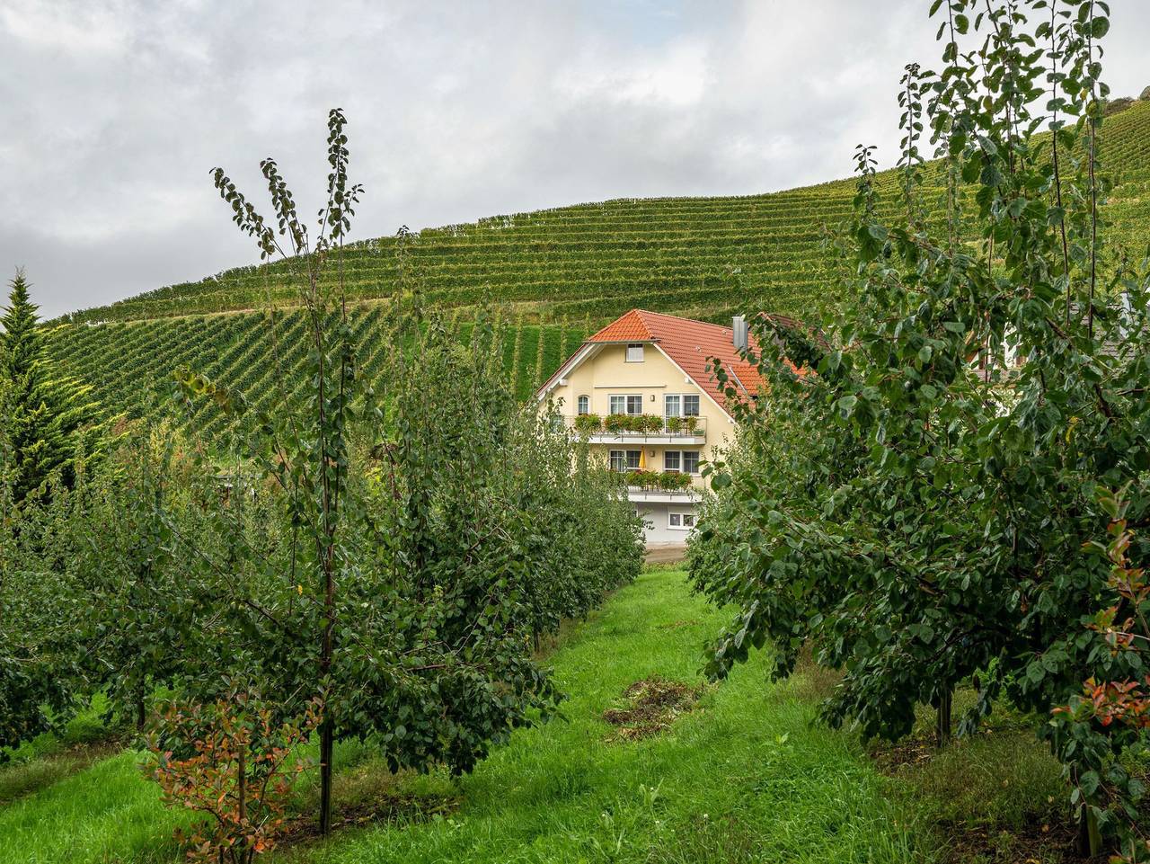 Ganze Ferienwohnung, Ferienhof Mayer - Ferienwohnung 2  Eg links in Lautenbach, Mittlerer Schwarzwald