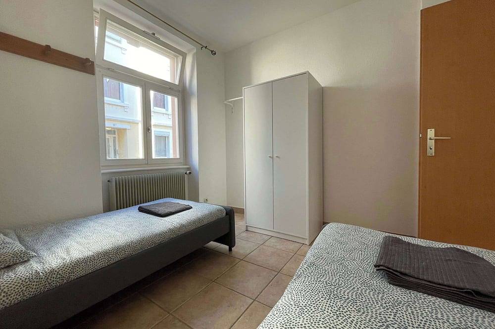 Entire apartment, Gf Central 2 Br w/ Living room + 5mn from Basel in Saint-Louis, Mulhouse region