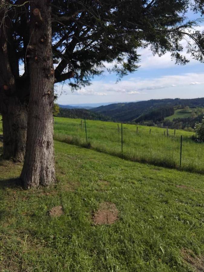 Three-Bedroom House in Saint-Vert, Parc Naturel Régional Livradois-Forez