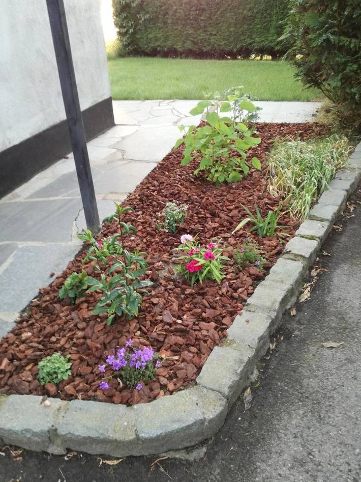 Maison de campagne pour 3 personnes, avec jardin et vue dans Watou - 4