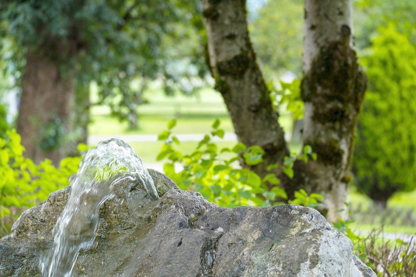 Appartement de vacances entier, Studio - Erdgeschoß in Göllstock, Hallein