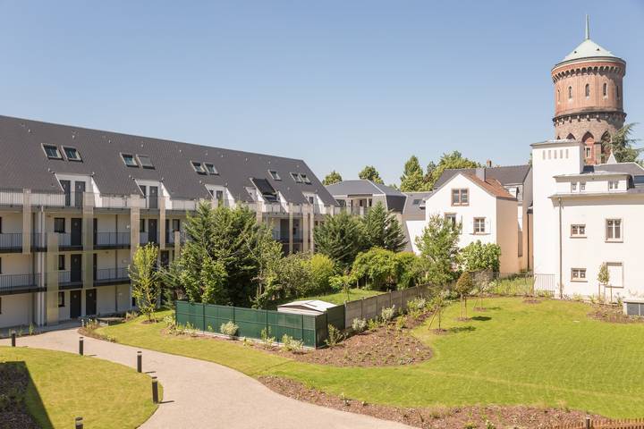 Gîte pour 4 personnes, avec piscine ainsi que jardin et bassin pour enfant, adapté aux familles à Colmar - 3