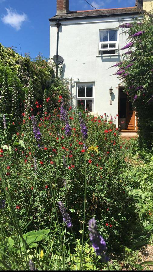 B&b for 2 people, with Terrace and Garden in Dawlish