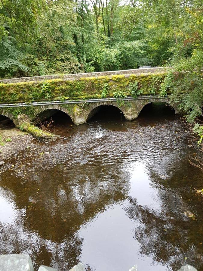 Location de vacances pour 4 personnes, avec jardin et vue à Killarney - 2