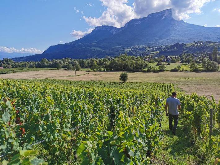 Gîte pour 4 personnes, avec jardin ainsi que piscine et vue dans Porte-de-Savoie - 3