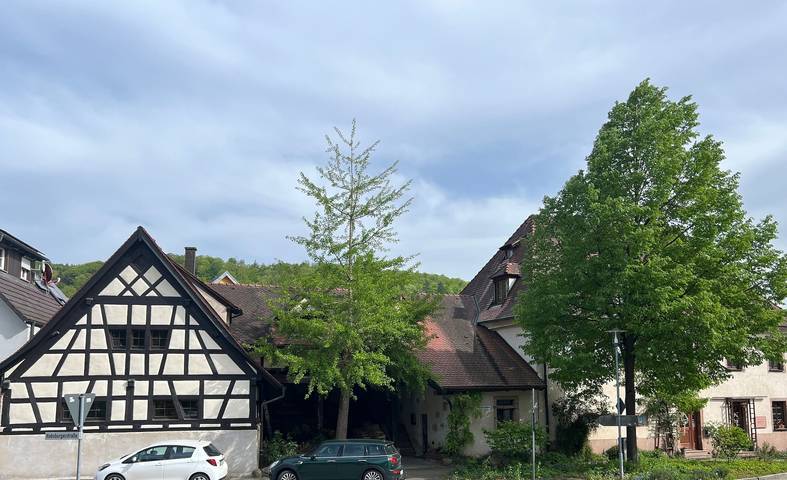Ganze Ferienwohnung, Am Gallusweg in Teningen, Südschwarzwald