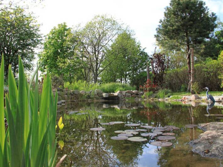 Ferienwohnung für 2 Personen, mit Garten in Ahrenshoop - 2