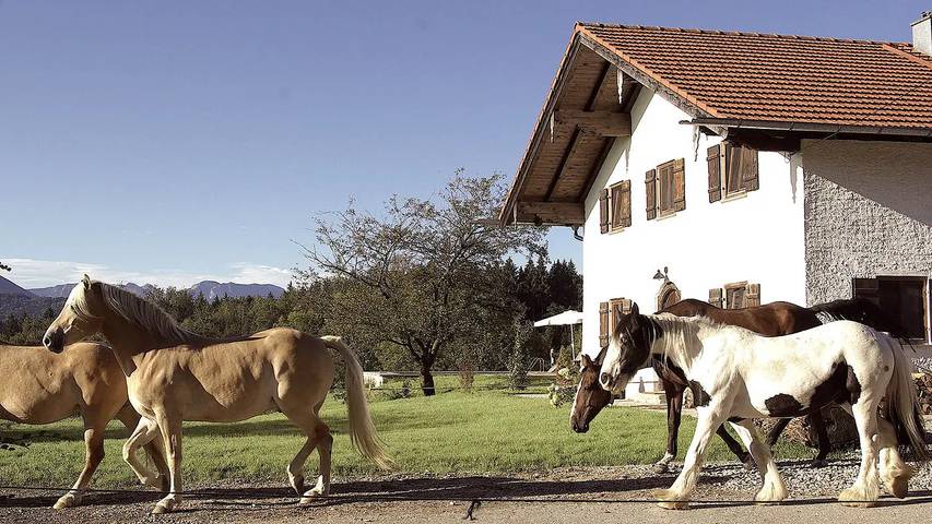 Ferienhaus für 6 Personen, mit Garten und Pool