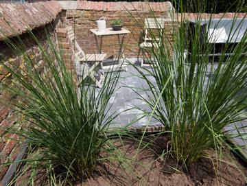 Ferienwohnung für 2 Personen in Jemgum, Südliche Nordseeküste, Bild 4