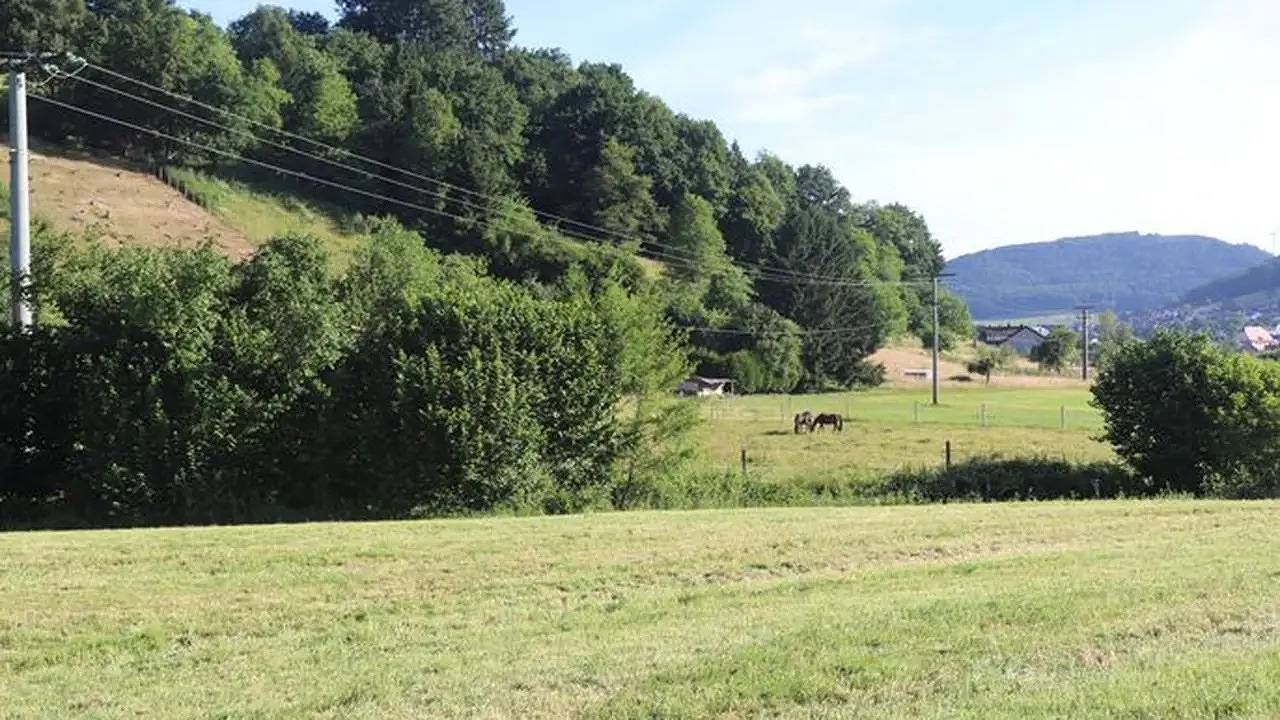 Ganze Ferienwohnung, Ferienwohnung für 4 Personen (92 m²) in Seelbach in Seelbach, Mittlerer Schwarzwald