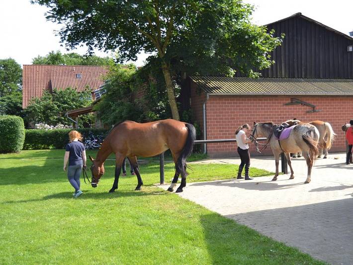 Bauernhof für 4 Personen, mit Terrasse und Garten in Wendland - 4