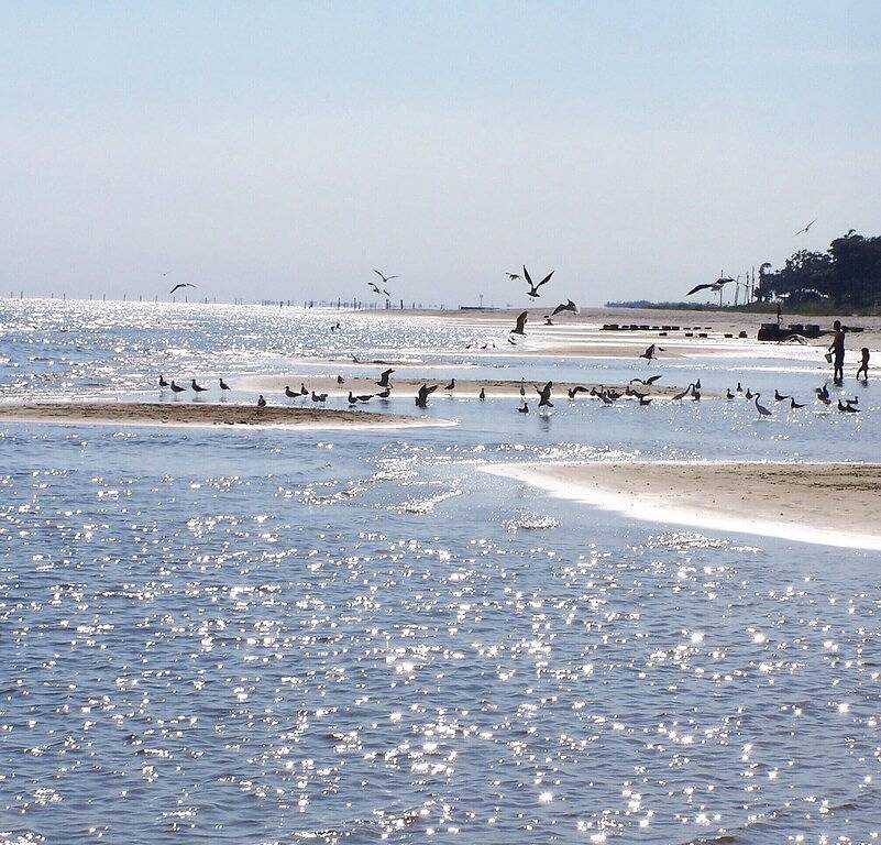 Yellow Door Cottage In The Heart of Bay St. Louis in Bay St. Louis, Mississippi Gulf Coast