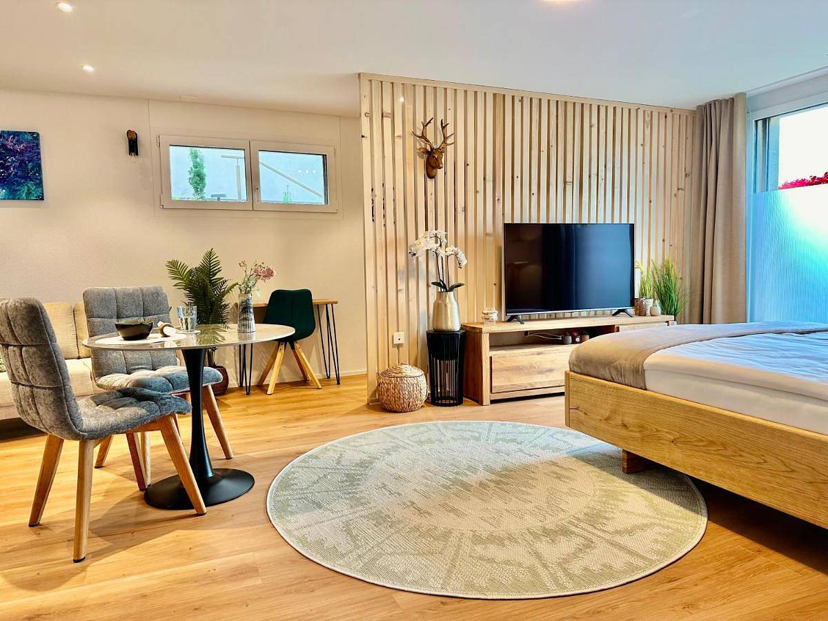 Appartement entier, Modern Business Studio with Self check-in in Schaan, Massif du Rätikon
