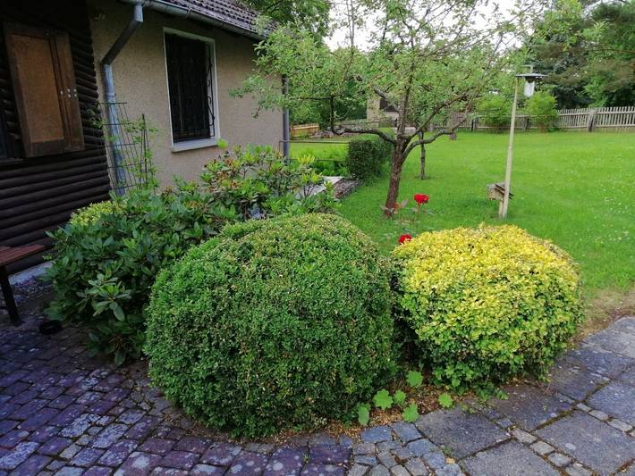 Ferienhaus für 4 Personen, mit Balkon und Terrasse sowie Garten in Bad Salzungen - 4