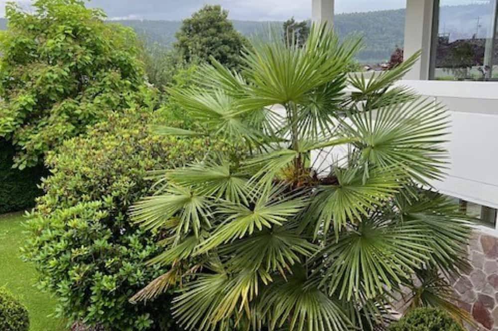 Ganze Wohnung, Luxuriös und idyllisch gelegen am Fuße des Schwarzwalds in Albbruck, Südschwarzwald