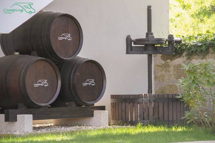 Hôtel pour 2 personnes, avec jardin et vue à Lamego - 4