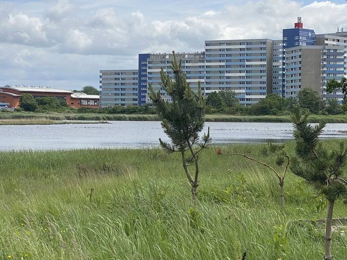Strandhaus für 2 Personen, mit Balkon in Heiligenhafen - 4