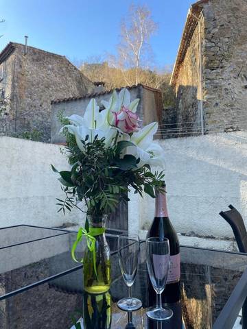 Gîte pour 6 personnes, avec vue ainsi que jardin et terrasse à Puilaurens