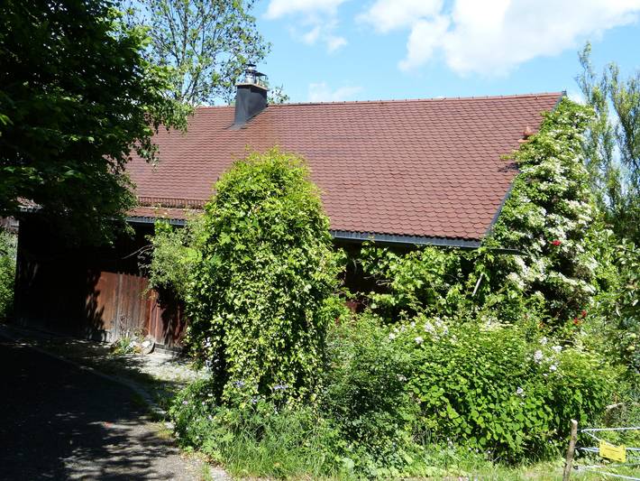 Ferienhaus für 5 Personen, mit Ausblick und Sauna sowie Garten, mit Haustier - 1