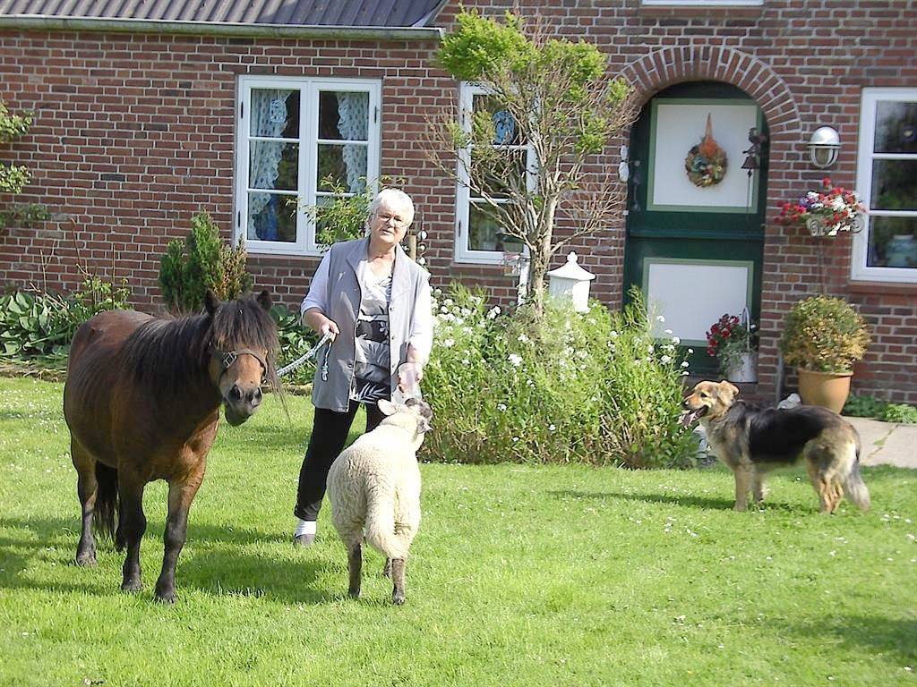 Wohnung Nr. 1 in Tümlauer Koog, Eiderstedt