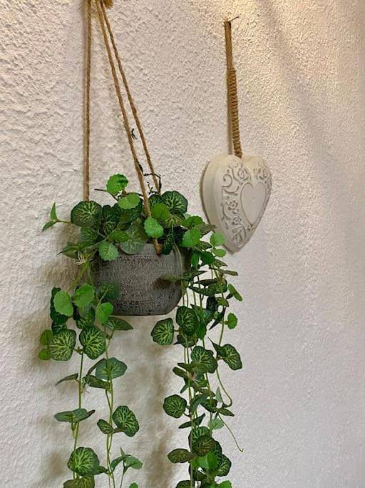 Location de vacances pour 4 personnes, avec jardin et terrasse, animaux acceptés dans Bagneux (Indre) - 2