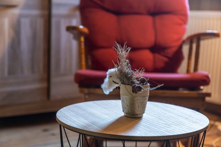 Appartement entier, Appartement 'Anna-Purna' avec vue sur les montagnes, terrasse partagée et Wi-Fi in Les Carroz, Arâches-la-Frasse