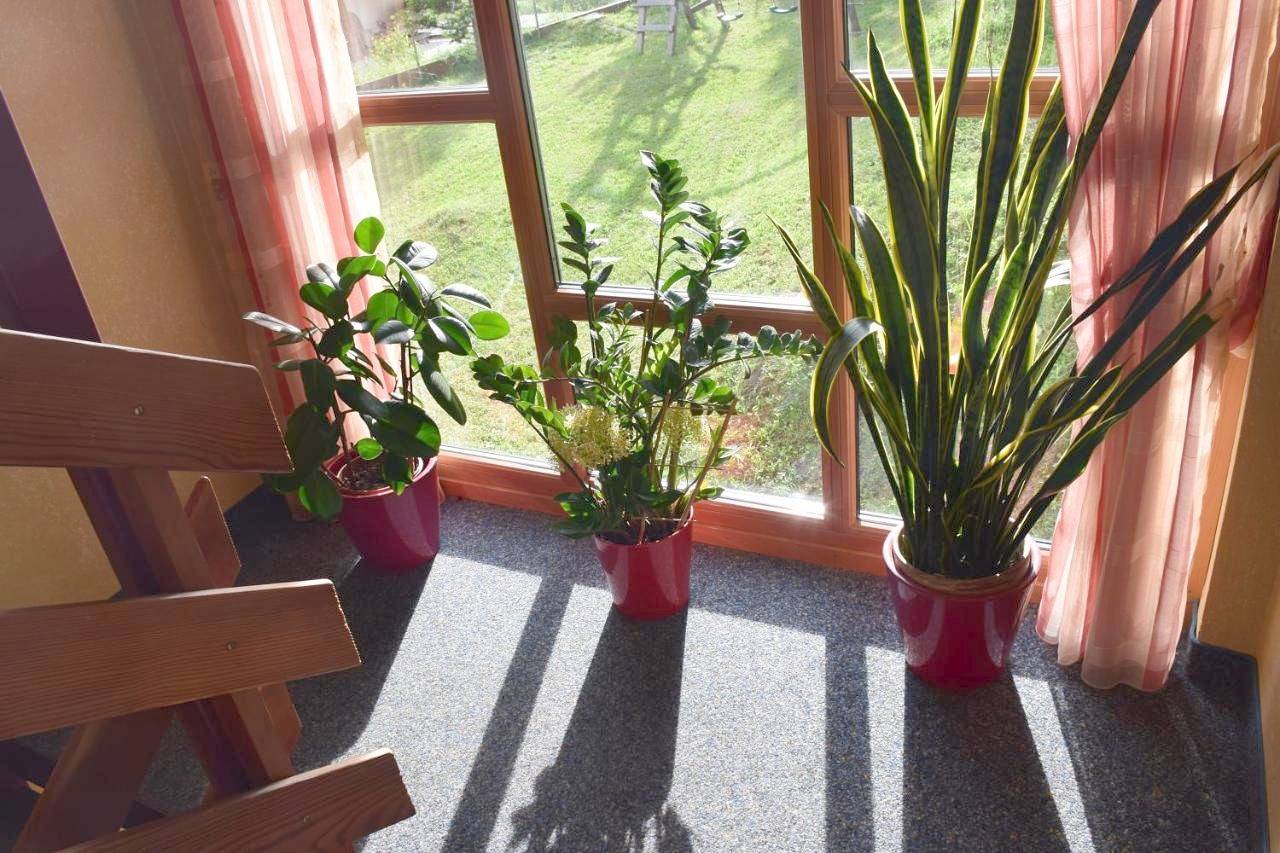 Pension Appartement Ambrosi in Heiligenblut, Bezirk Spittal an der Drau