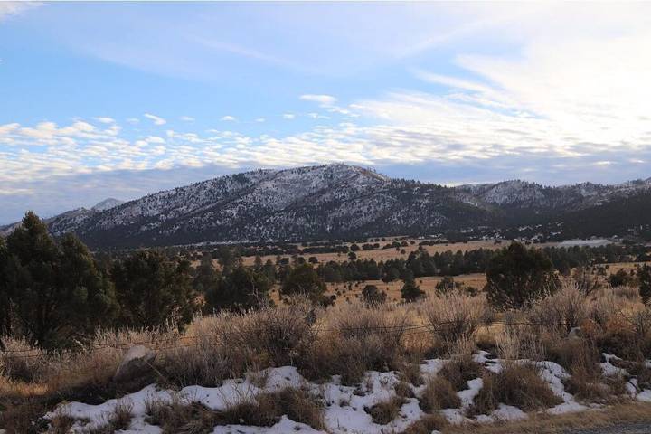 Vacation house for 8 people, with yard and terrace, with pets in New Mexico