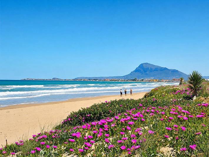 Daru dunya in Beniarbeig, Costa Blanca