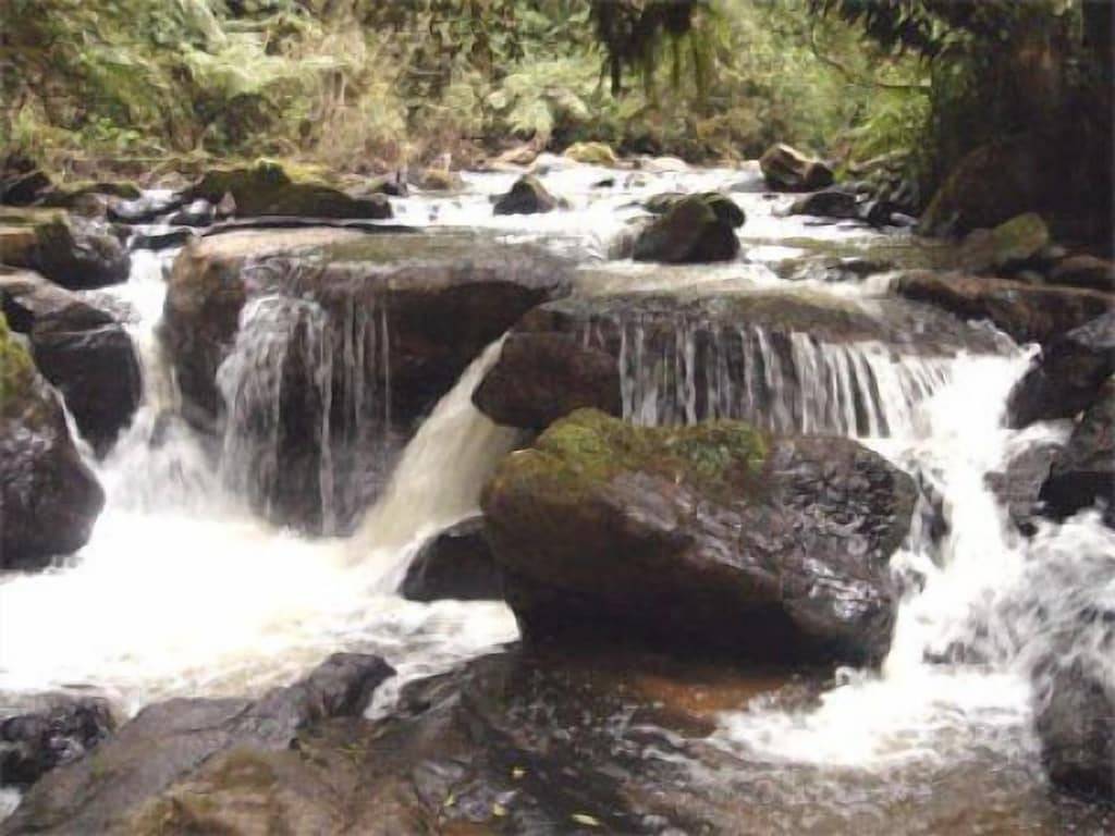 Leidenschaftlicher grüner Hügel in Monte Verde, Minas Gerais
